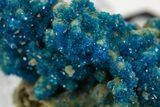Vibrant Blue Veszelyite Crystal Cluster - China #337102-2